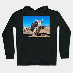 Yak, Tibet. Hoodie